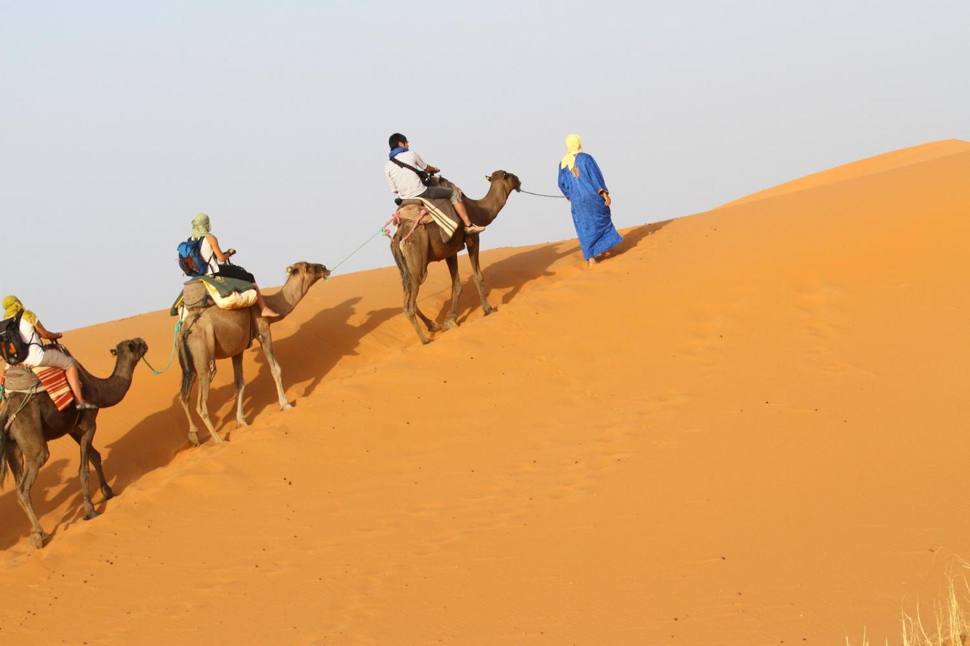 梅尔祖卡Kasbah Tamariste住宿加早餐旅馆 外观 照片