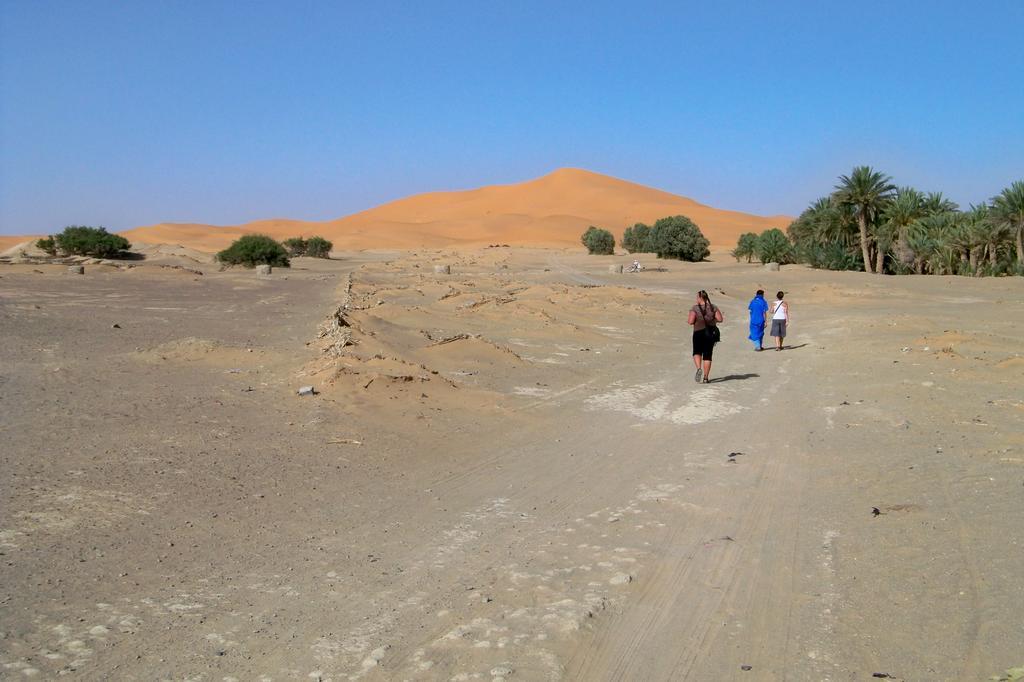 梅尔祖卡Kasbah Tamariste住宿加早餐旅馆 外观 照片