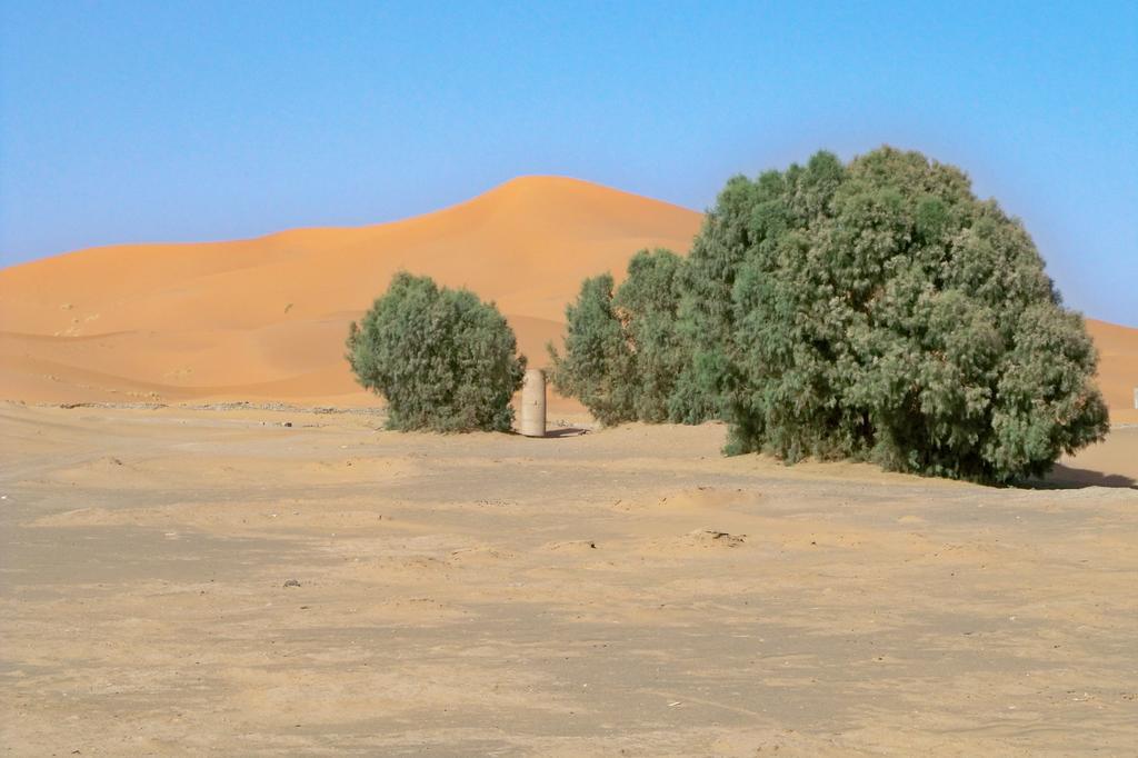 梅尔祖卡Kasbah Tamariste住宿加早餐旅馆 外观 照片