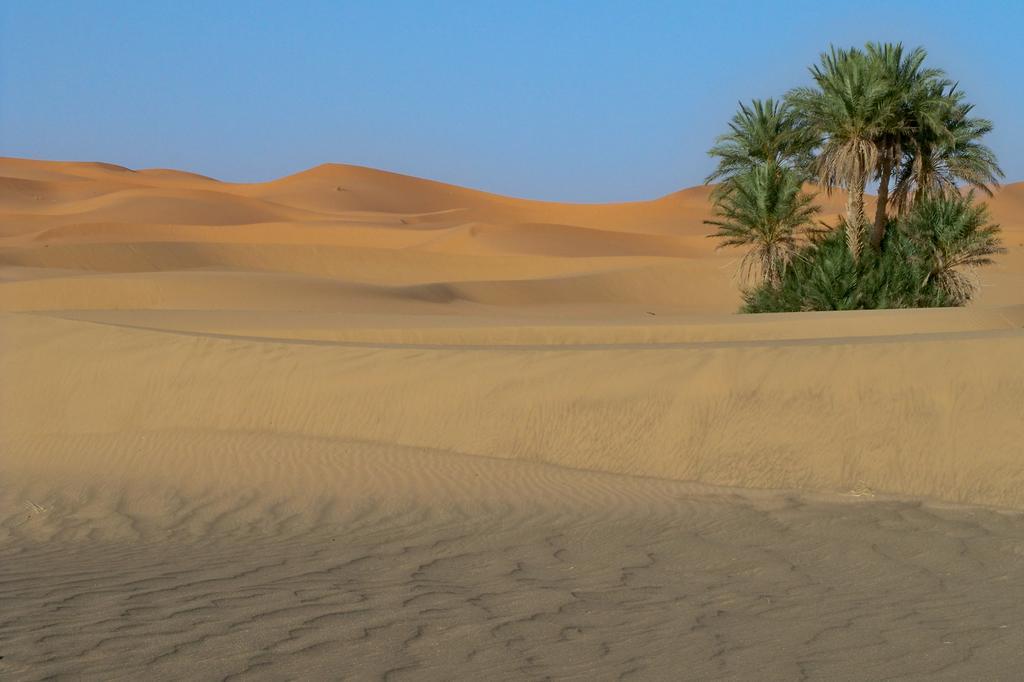 梅尔祖卡Kasbah Tamariste住宿加早餐旅馆 外观 照片