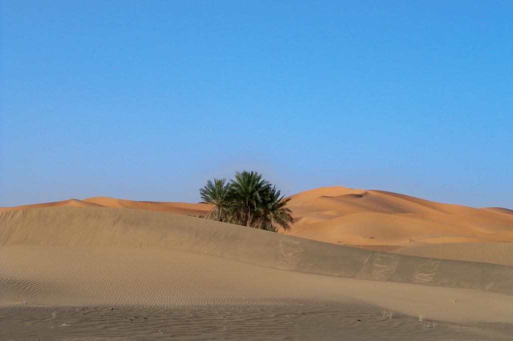 梅尔祖卡Kasbah Tamariste住宿加早餐旅馆 外观 照片