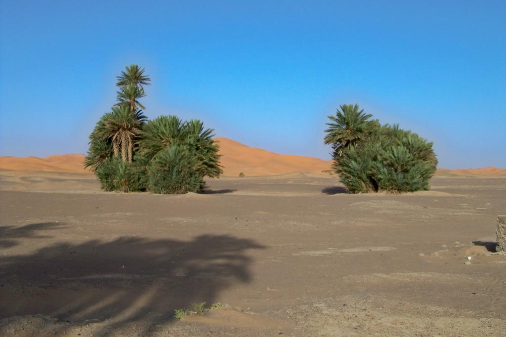 梅尔祖卡Kasbah Tamariste住宿加早餐旅馆 外观 照片